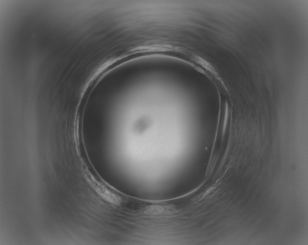 X0000054461179200507291340