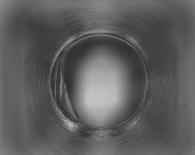 X0000054461181200507291340
