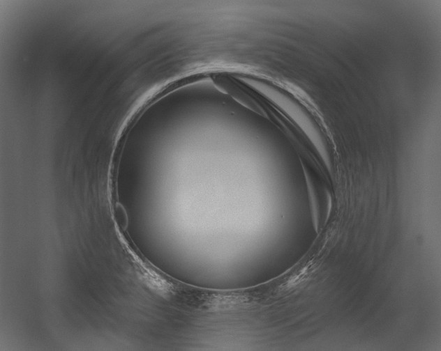 X0000054461183200507291340
