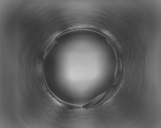 X0000054461185200507291340