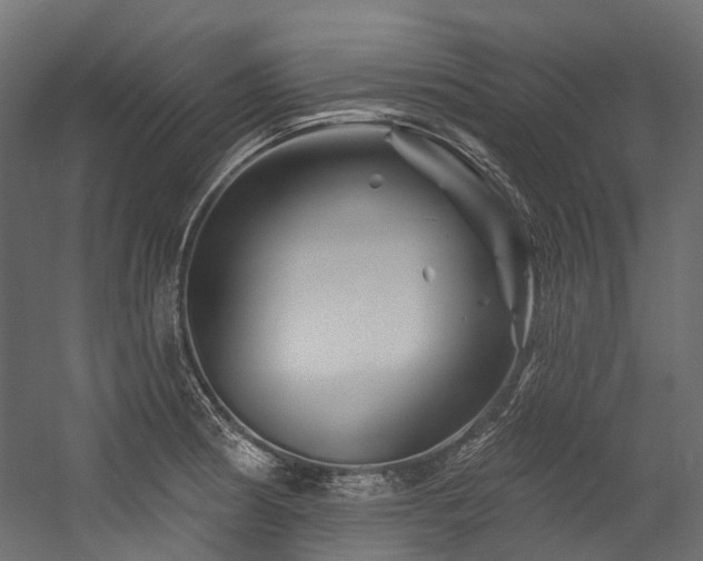 X0000054461186200507291340