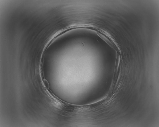 X0000054461187200507291340