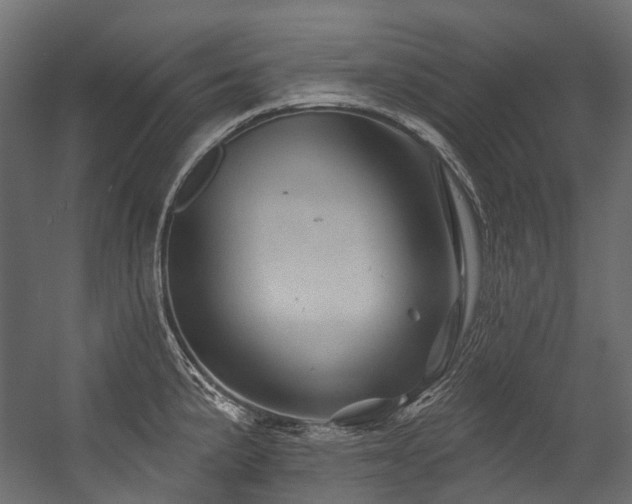 X0000054461191200507291340