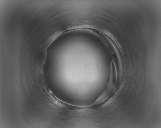 X0000054461193200507291340