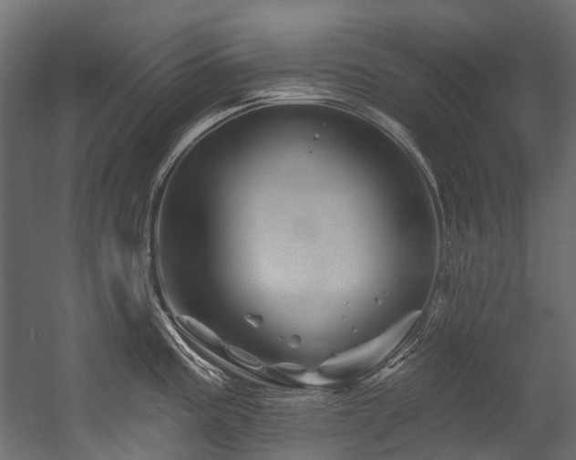 X0000054461195200507291340