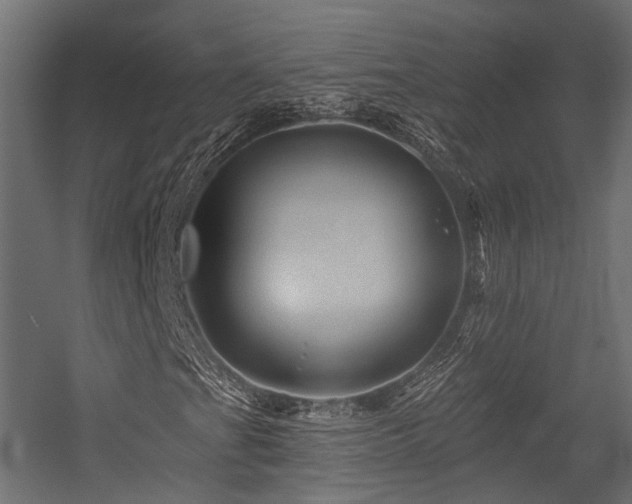 X0000054461201200507291339