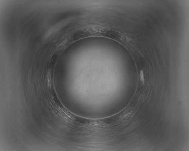 X0000054461203200507291339