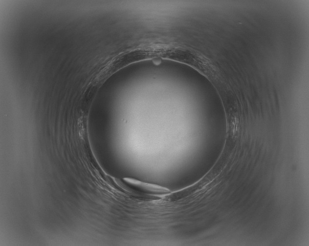 X0000054461204200507291339