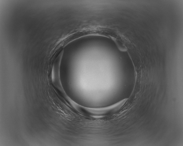 X0000054461206200507291339