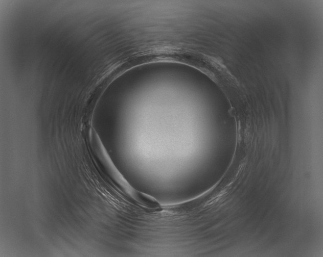 X0000054461209200507291339