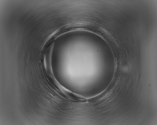 X0000054461210200507291339