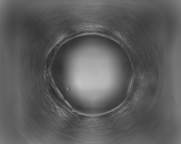 X0000054461211200507291339
