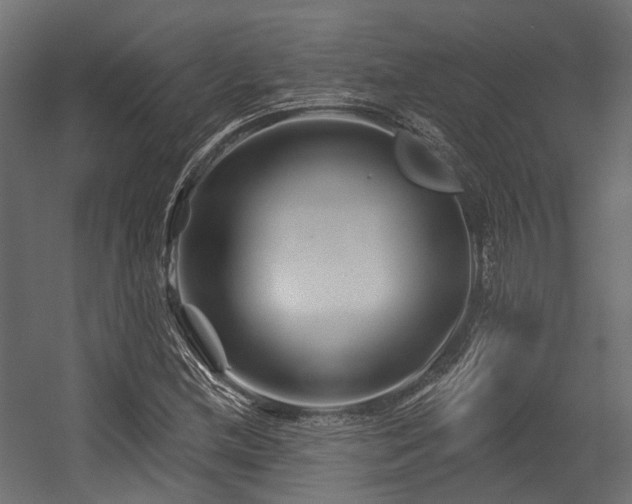 X0000054461212200507291339