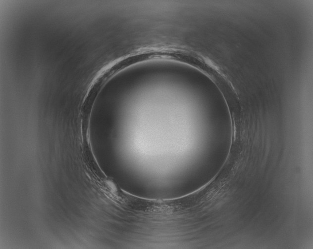 X0000054461214200507291339