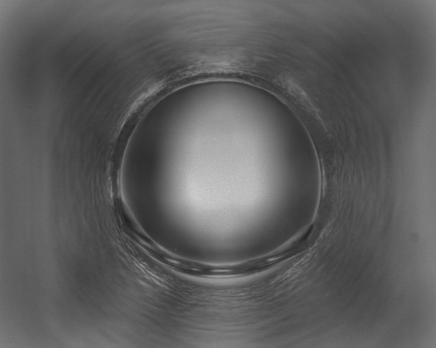 X0000054461218200507291339