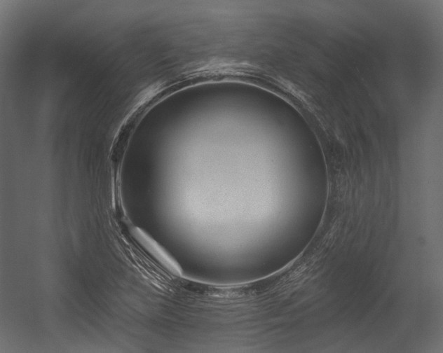 X0000054461219200507291339