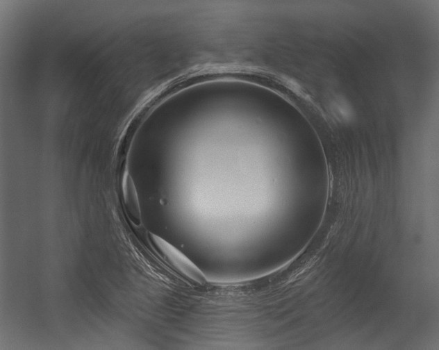 X0000054461221200507291339