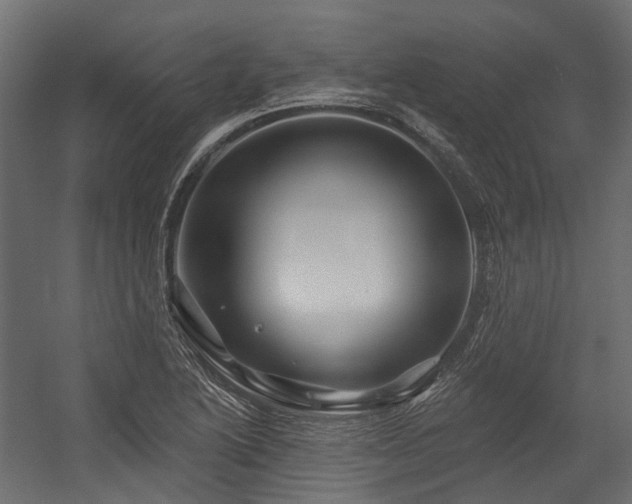 X0000054461222200507291339