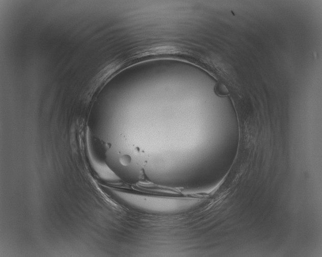 X0000054461225200507291339