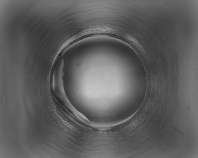 X0000054461226200507291339