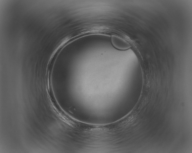X0000054461227200507291339