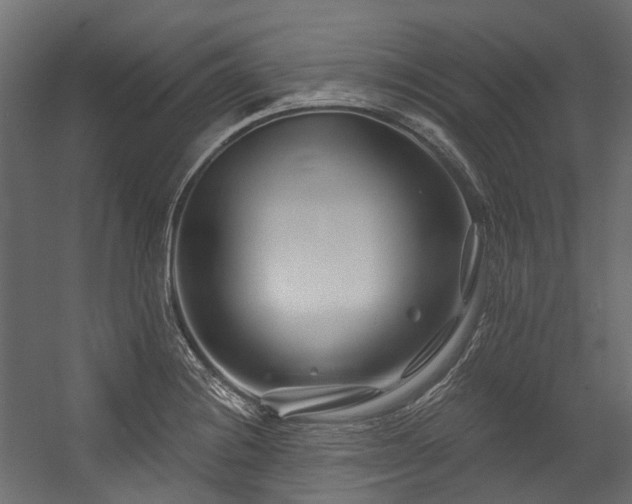 X0000054461228200507291339