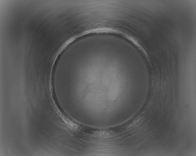 X0000054461229200507291339