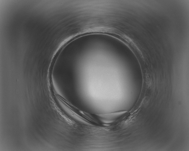 X0000054461230200507291339