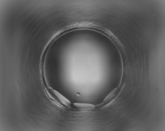 X0000054461232200507291340