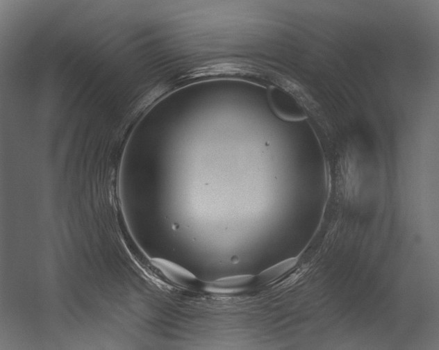 X0000054461233200507291340