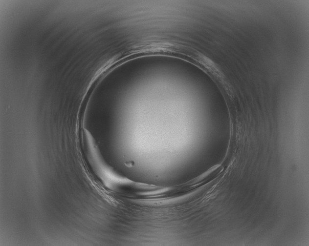 X0000054461234200507291340