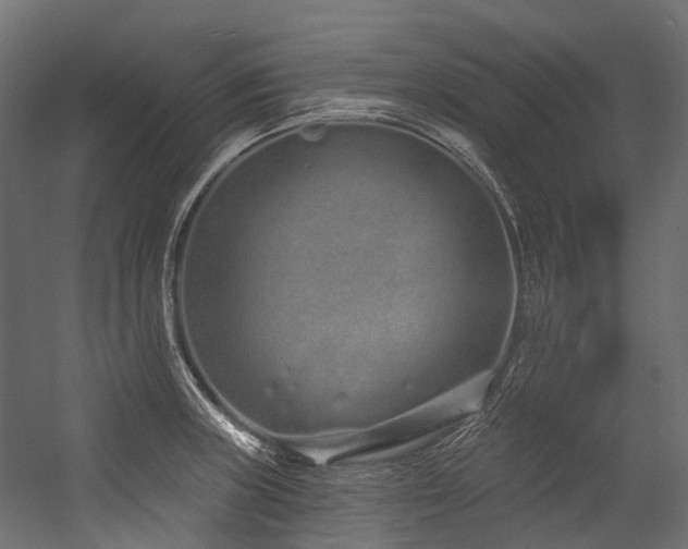 X0000054461235200507291340
