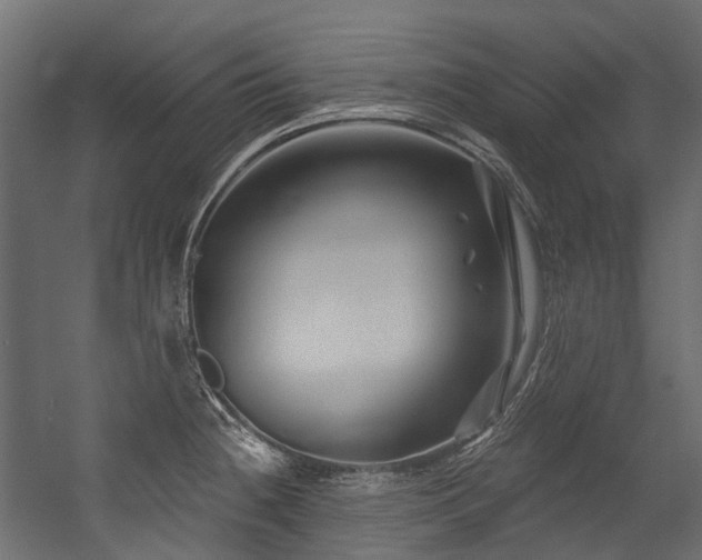 X0000054461236200507291340