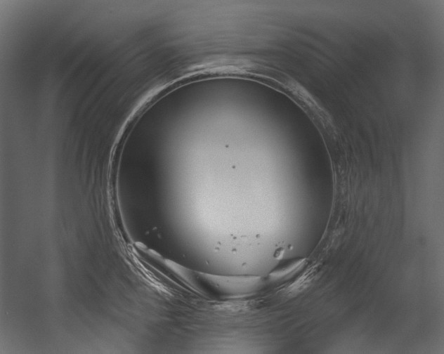 X0000054461240200507291340