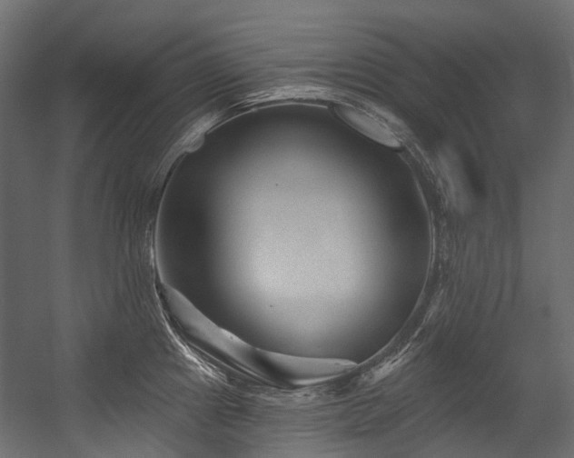 X0000054461241200507291340
