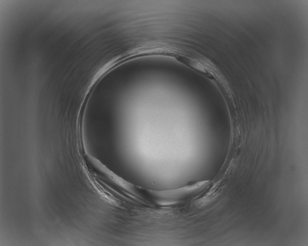 X0000054461242200507291340