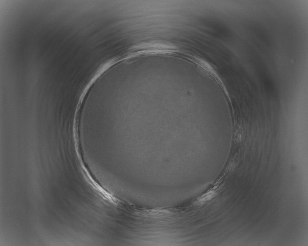 X0000054461243200507291340