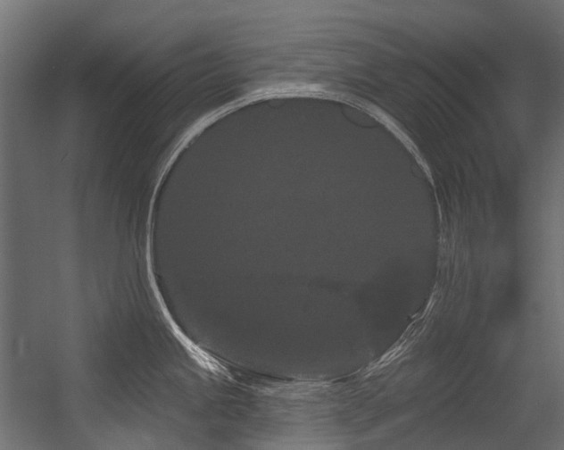 X0000054461245200507291340