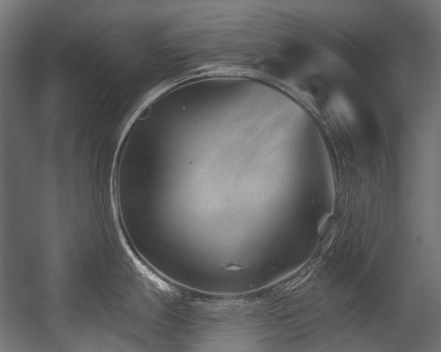 X0000054461247200507291340