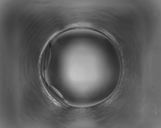 X0000054461248200507291340