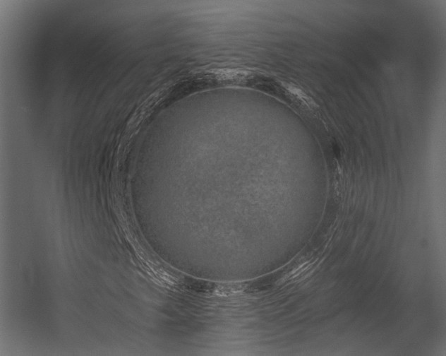 X0000054461249200507291339