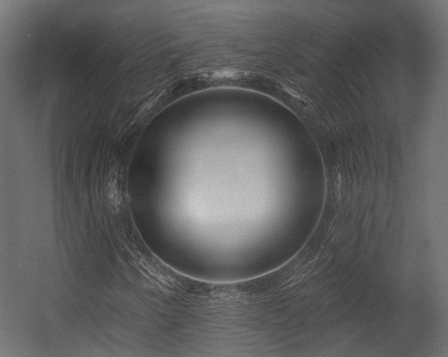 X0000054461250200507291339
