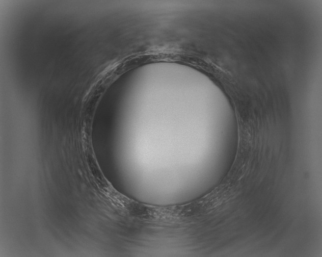 X0000054461254200507291339