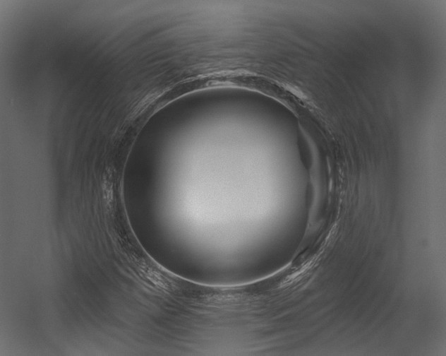 X0000054461257200507291339