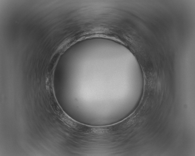 X0000054461258200507291339
