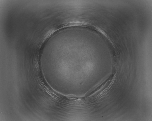 X0000054461259200507291339