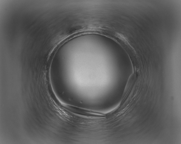 X0000054461260200507291339