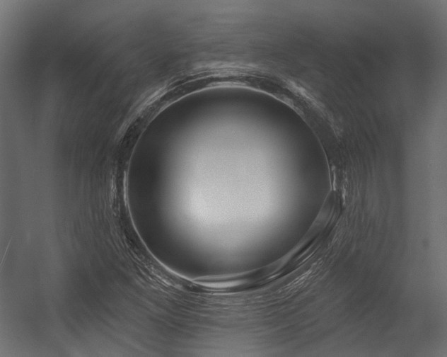 X0000054461261200507291339