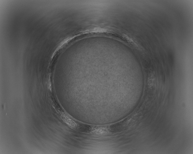X0000054461262200507291339