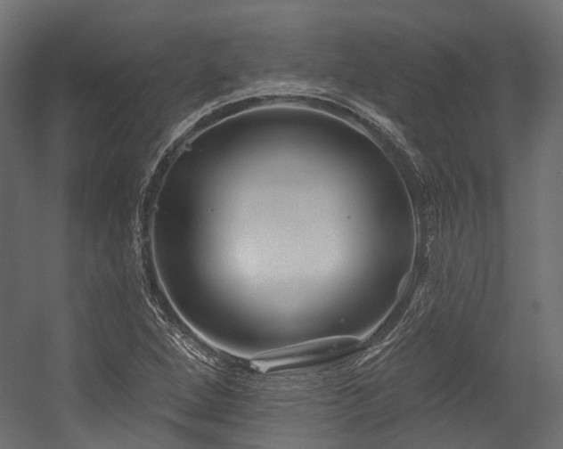 X0000054461264200507291339